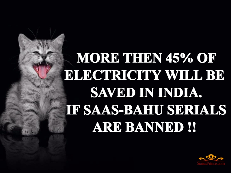 Tabby Kittens Black Background - HD Wallpaper 