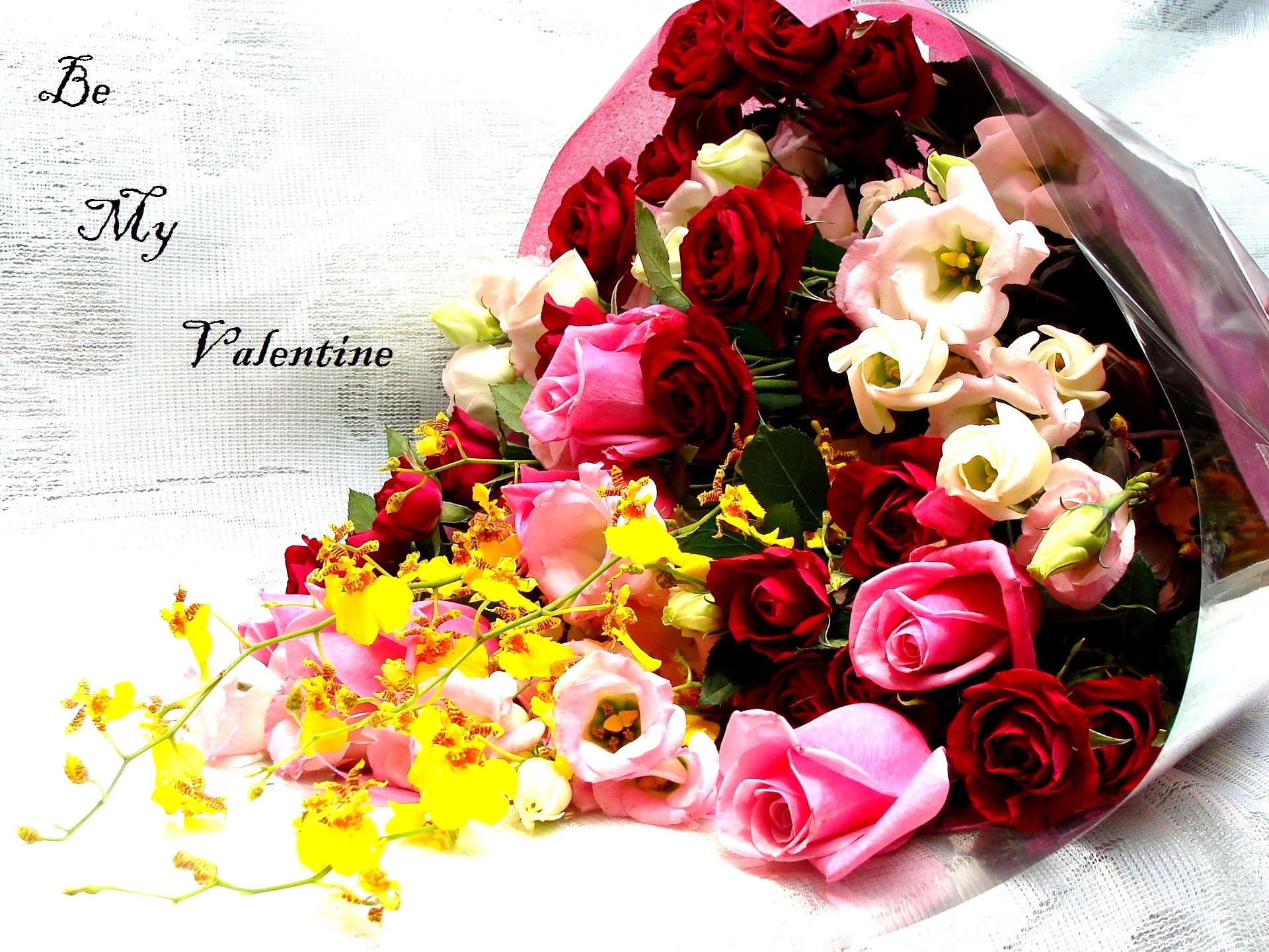 Retirement Quotes In English - HD Wallpaper 