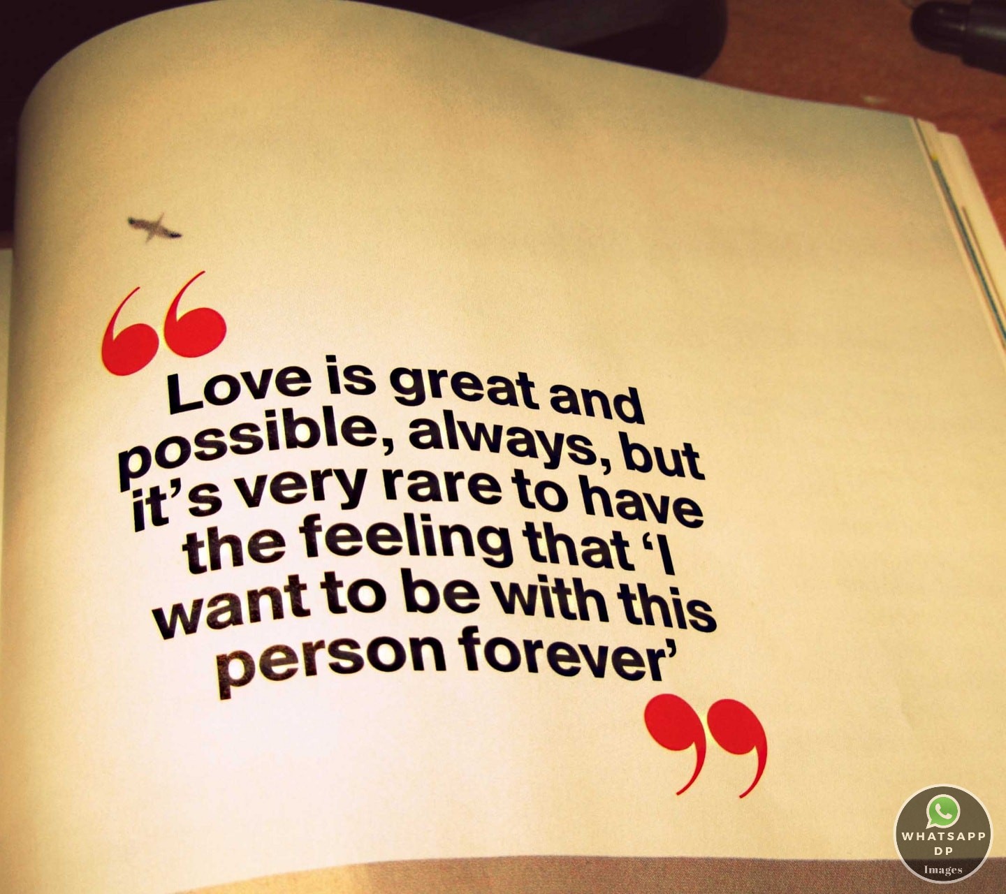 Whatsapp Dp Images With Quotes In Hindi - Paper - HD Wallpaper 