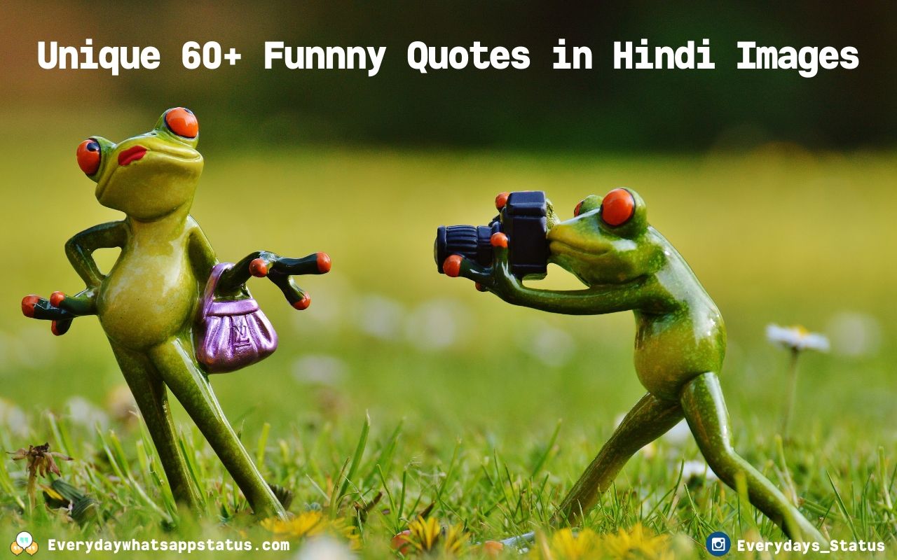 Facts For Best Friends - HD Wallpaper 