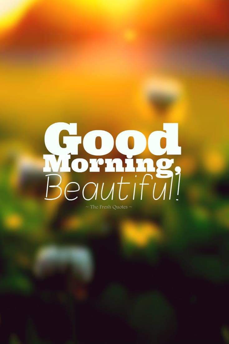 Beautiful Cute Good Morning Quotes - HD Wallpaper 