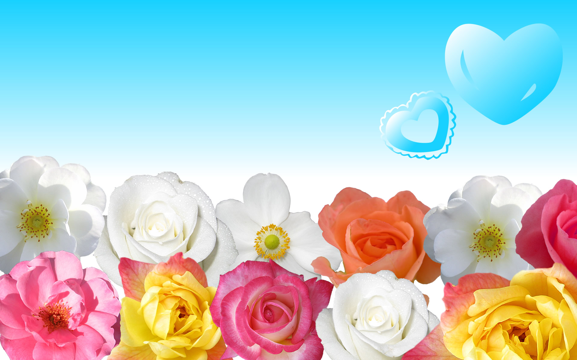 Flowers Wallpaper Download - HD Wallpaper 