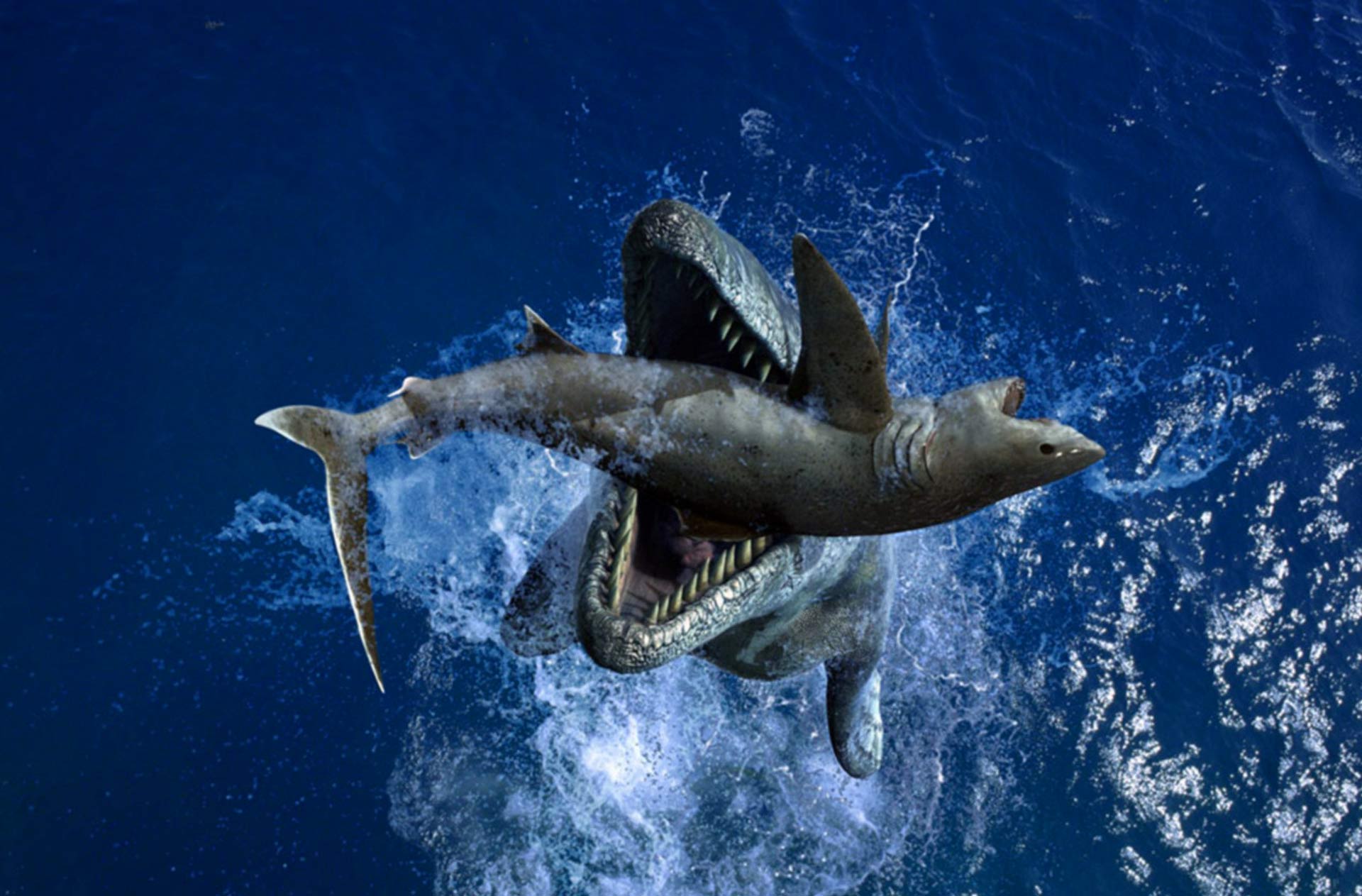 Fondo Pantalla Tiburon Megalodon,fondo Escritorio Tiburon - Sea Monsters A Prehistoric Adventure Tylosaurus - HD Wallpaper 