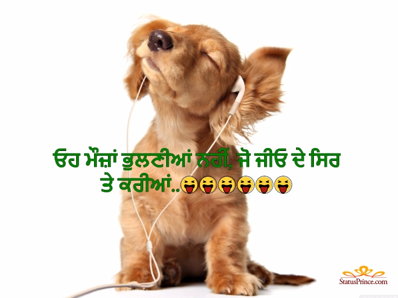 Dog Status In Punjabi Funny - HD Wallpaper 