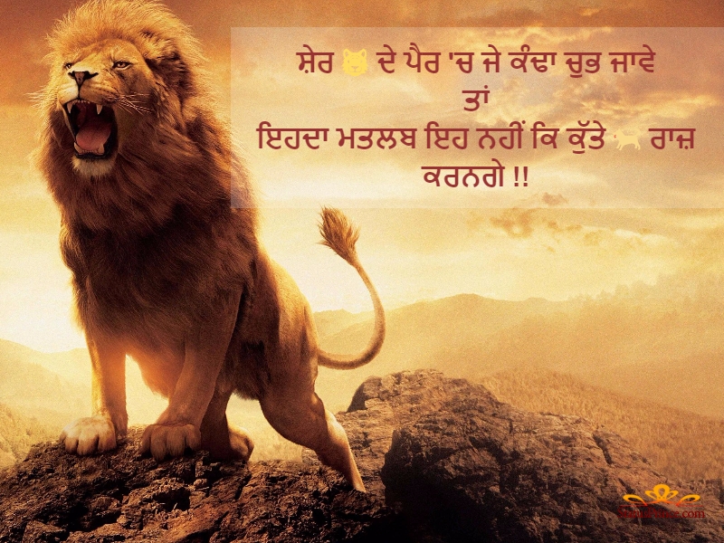 Lion Quotes In Punjabi - HD Wallpaper 