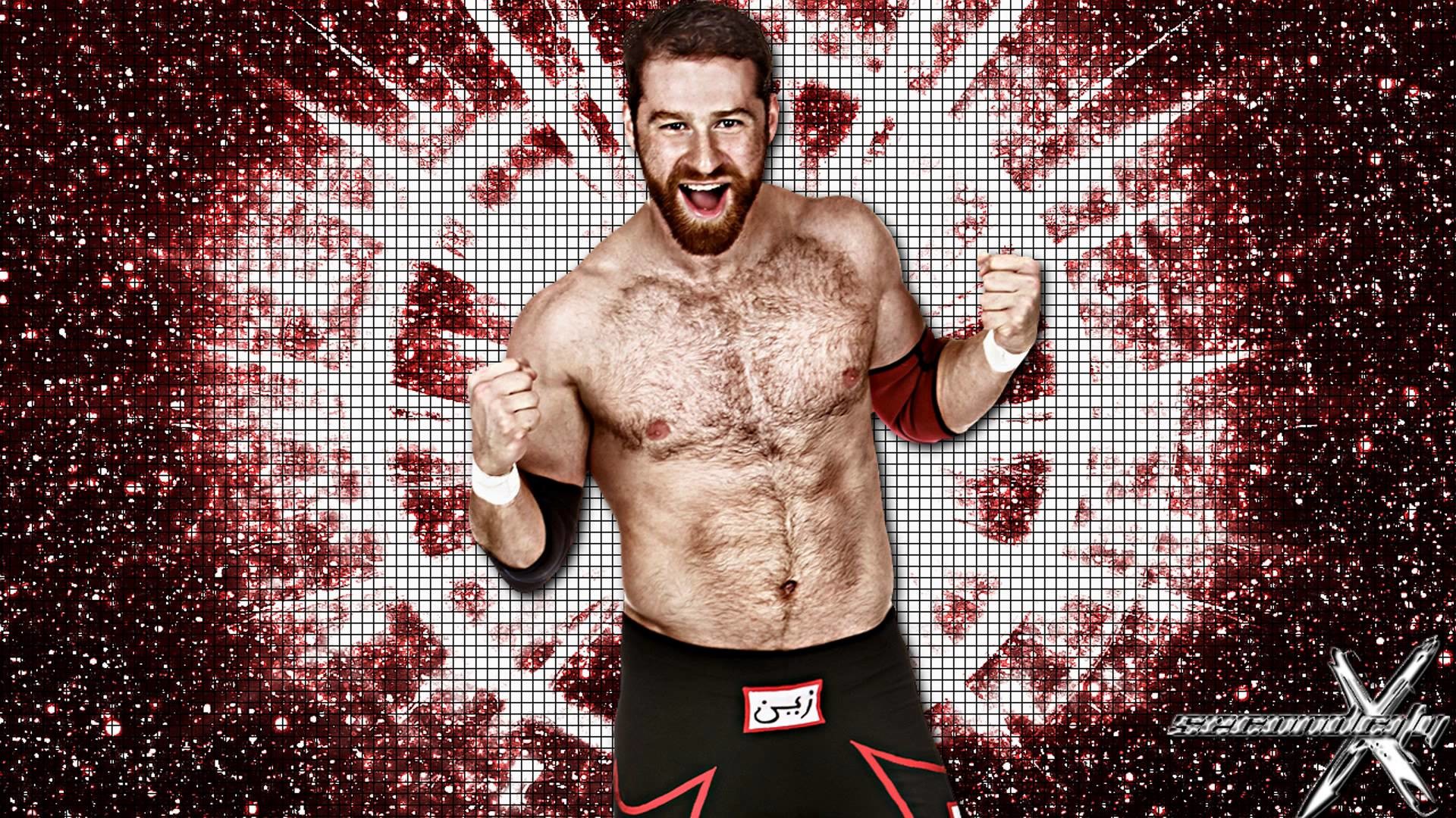 Wwe Superstars Images Sami Zayn Hd Wallpaper And Background - Jeff Hardy Wallpaper 2017 - HD Wallpaper 