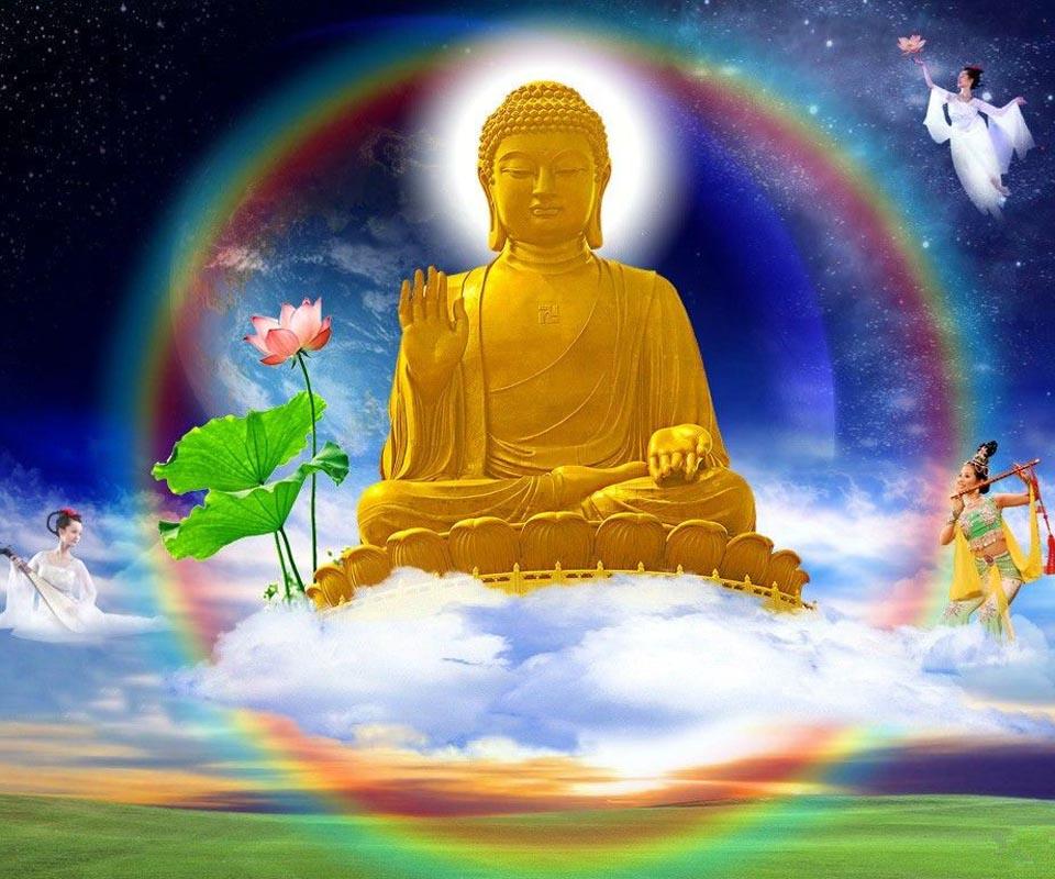 Buddha Live Wallpaper - Tian Tan Buddha - 960x800 Wallpaper 