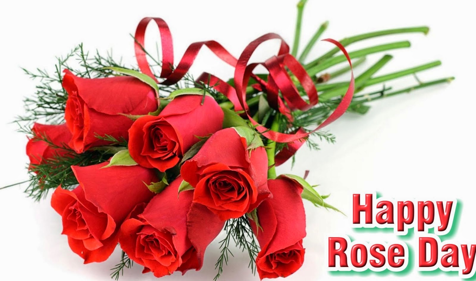Rose Day Whatsapp Dp - HD Wallpaper 