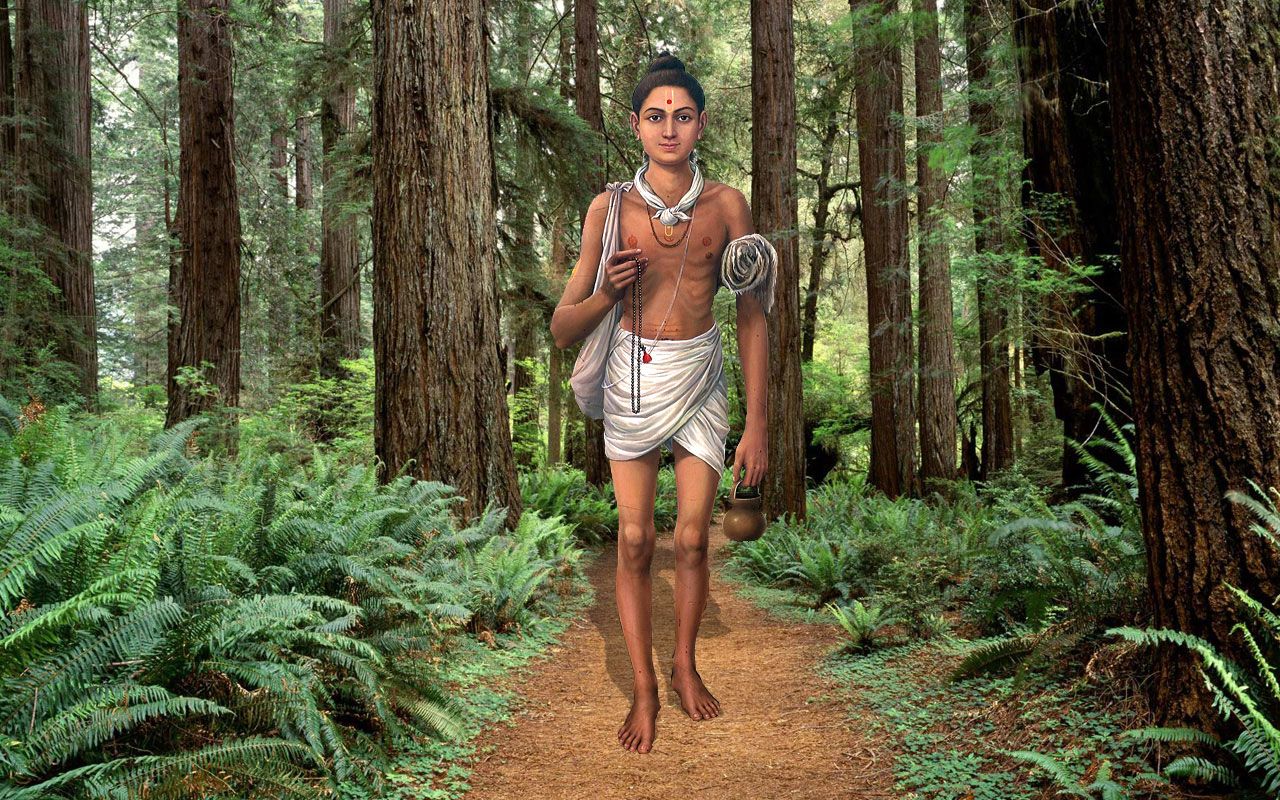 Red Wood Forest Hd - HD Wallpaper 