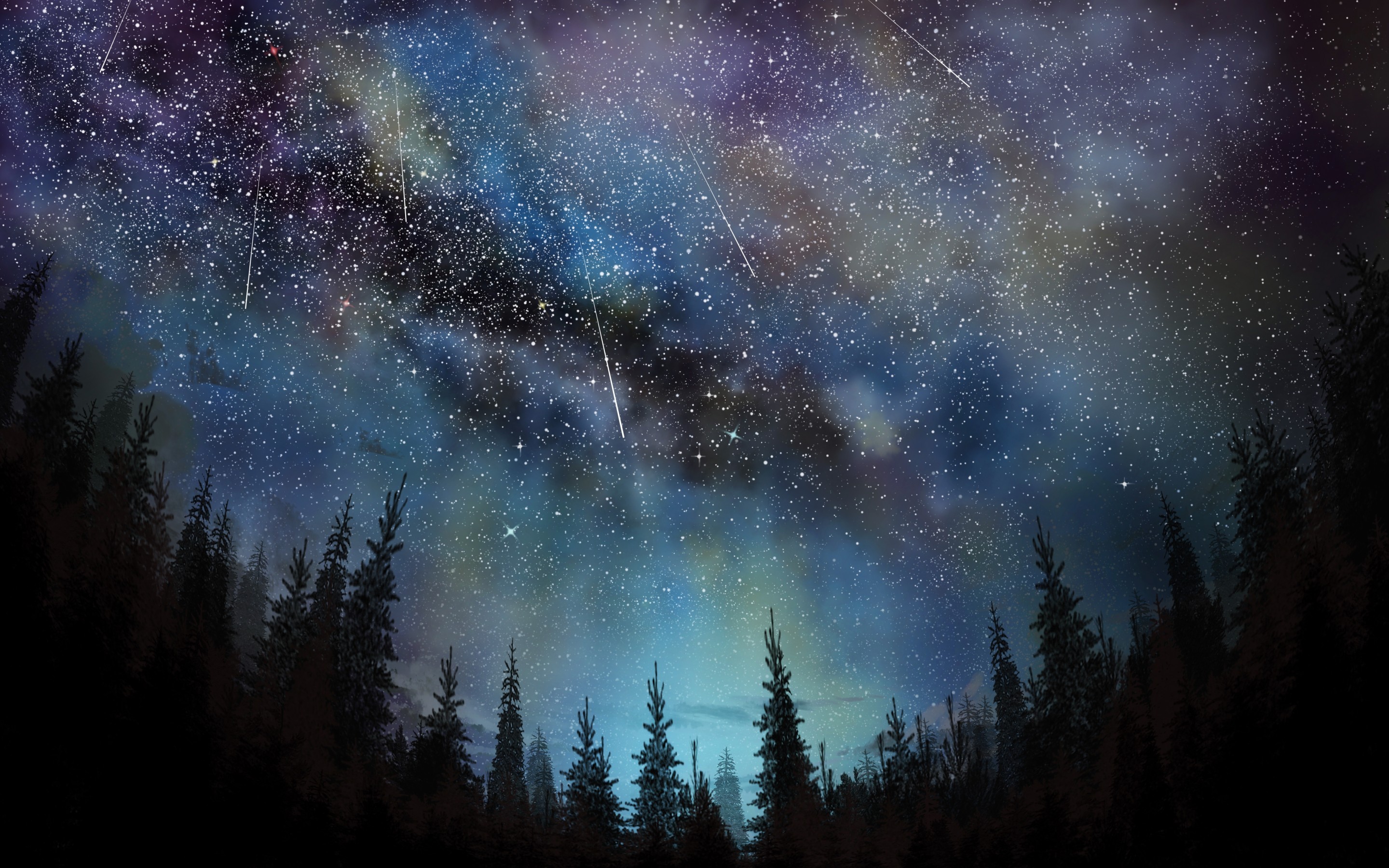 Stars, Trees, Sky, Night - HD Wallpaper 
