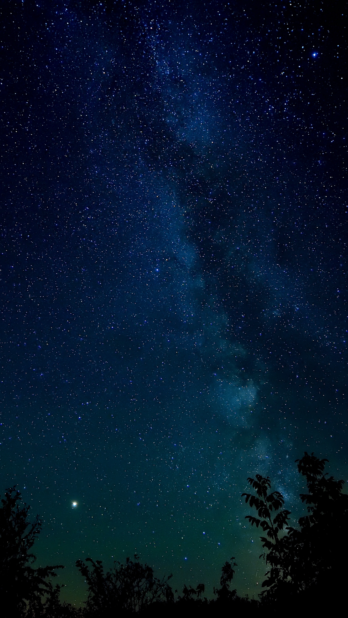 Wallpaper Starry Sky, Night, Stars, Trees, Night Sky - Iphone Night Sky Background - HD Wallpaper 