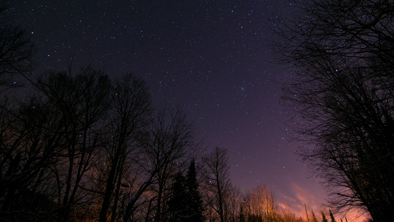 Wallpaper Starry Sky, Trees, Night, Stars - Star - HD Wallpaper 