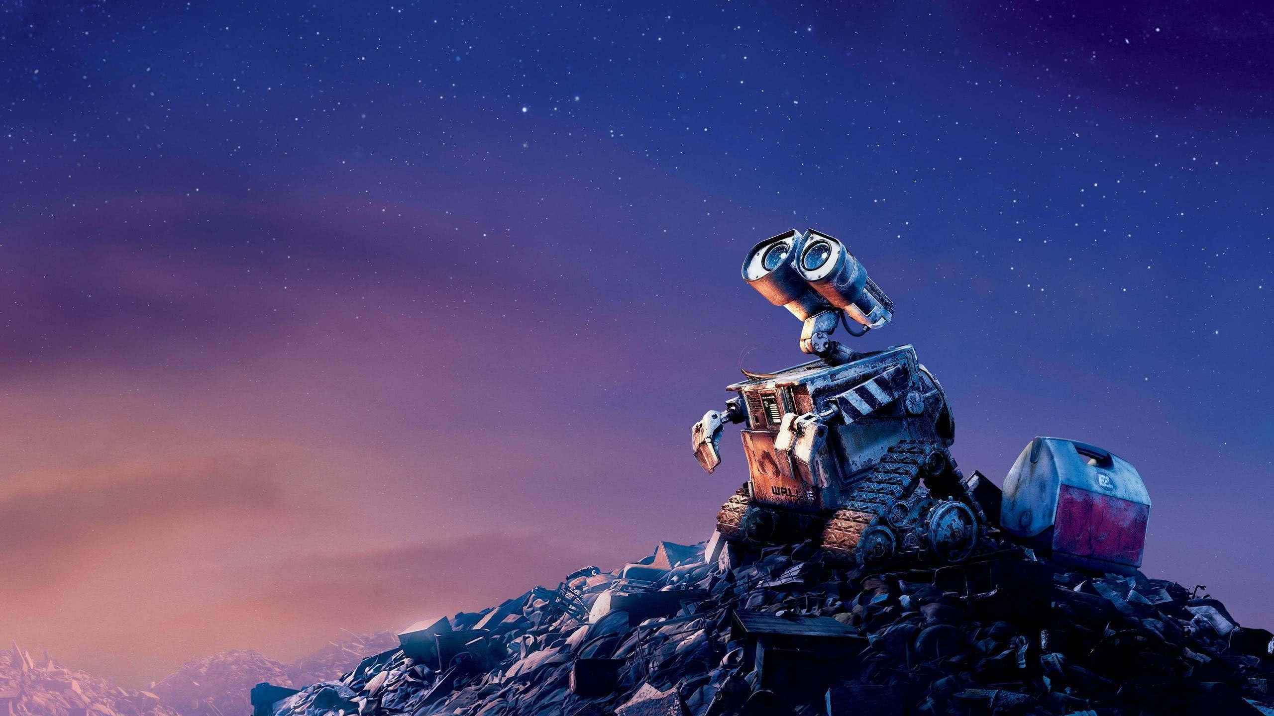 Wall-e Looking At Stars Wqhd 1440p Wallpaper - Wall E Looking At Stars - HD Wallpaper 