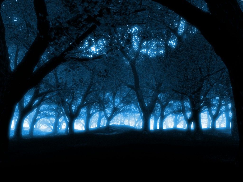 Blue Mystical Forest Background - HD Wallpaper 