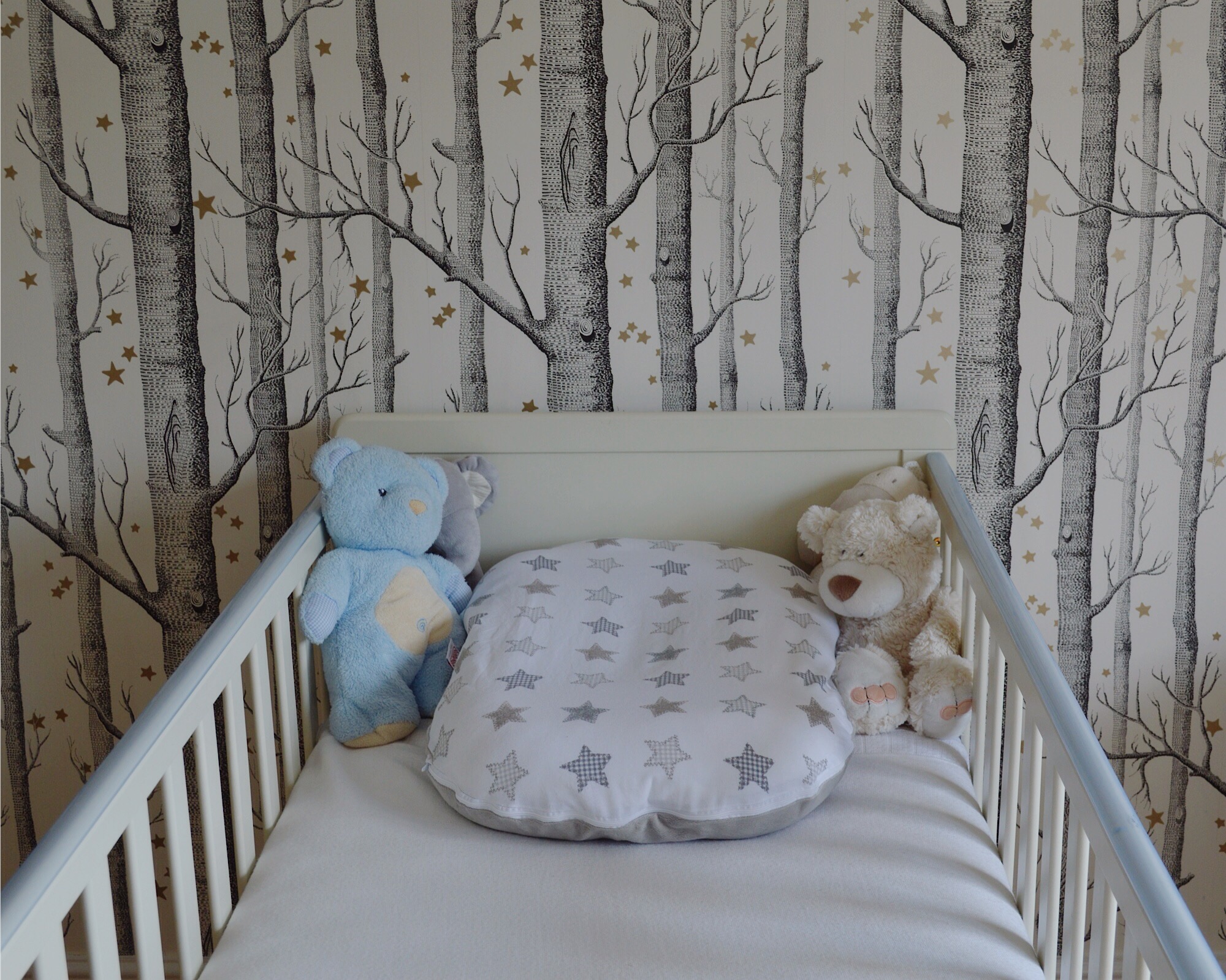 Anglepoise Type75 Mini Desk Lamp - HD Wallpaper 