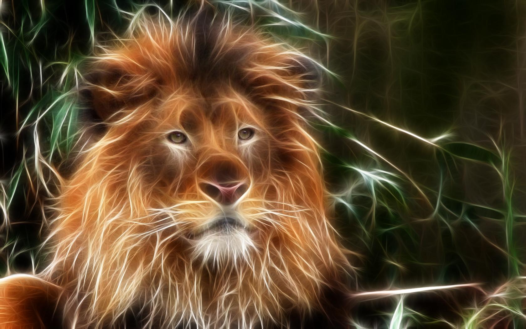 3d Lion Hd Background Wallpaper - Beautiful Iphone Wallpaper 3d - HD Wallpaper 