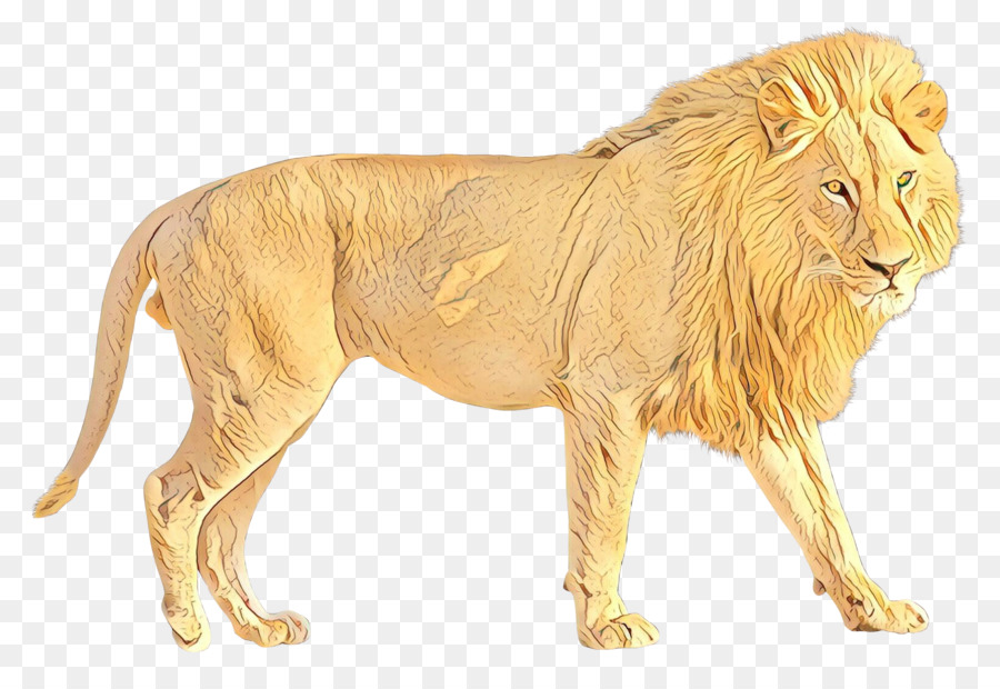 Lion Portable Network Graphics Transparency Image Jaguar - Walking Lion In Png - HD Wallpaper 
