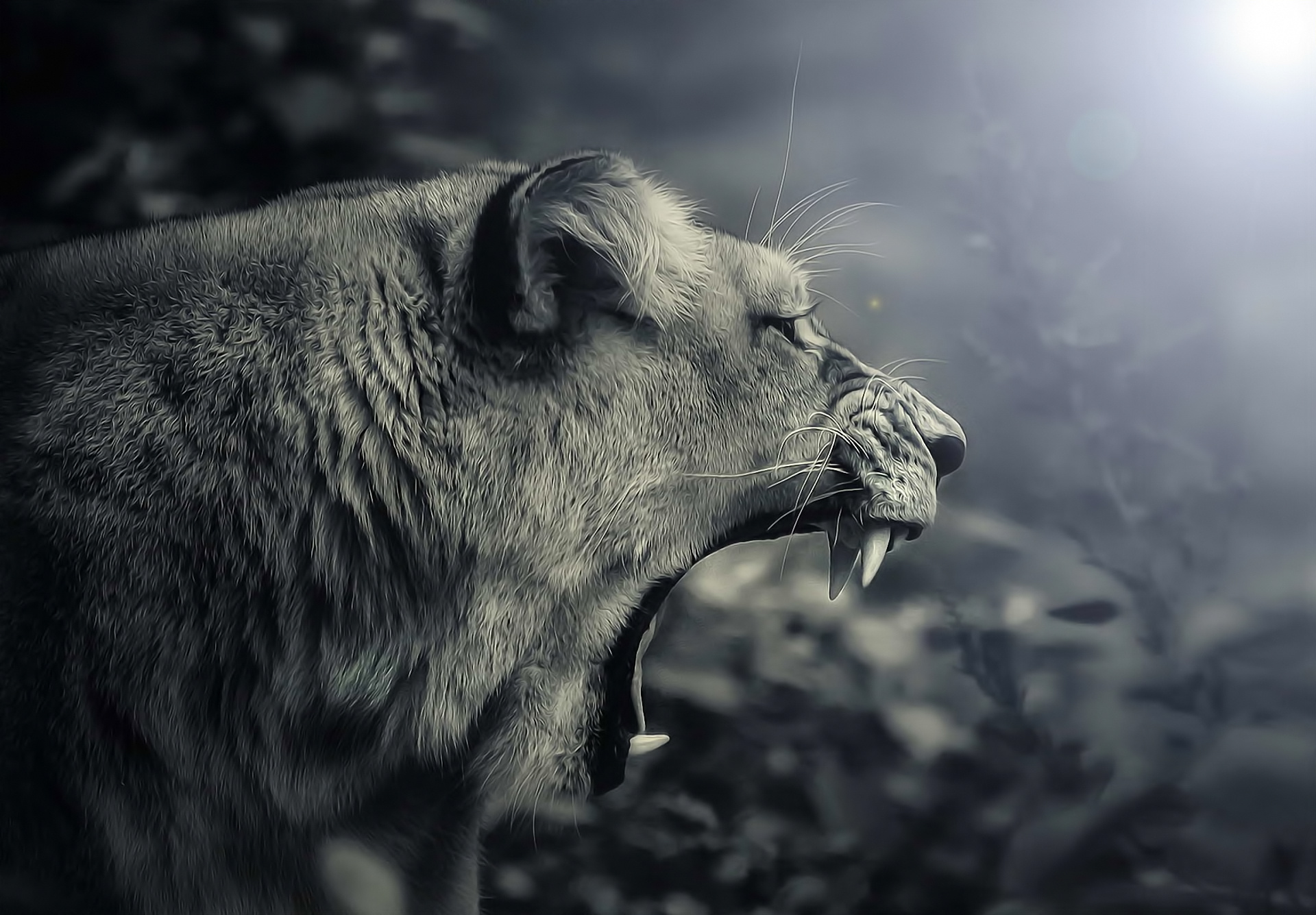 Lion Roar Art Black - HD Wallpaper 