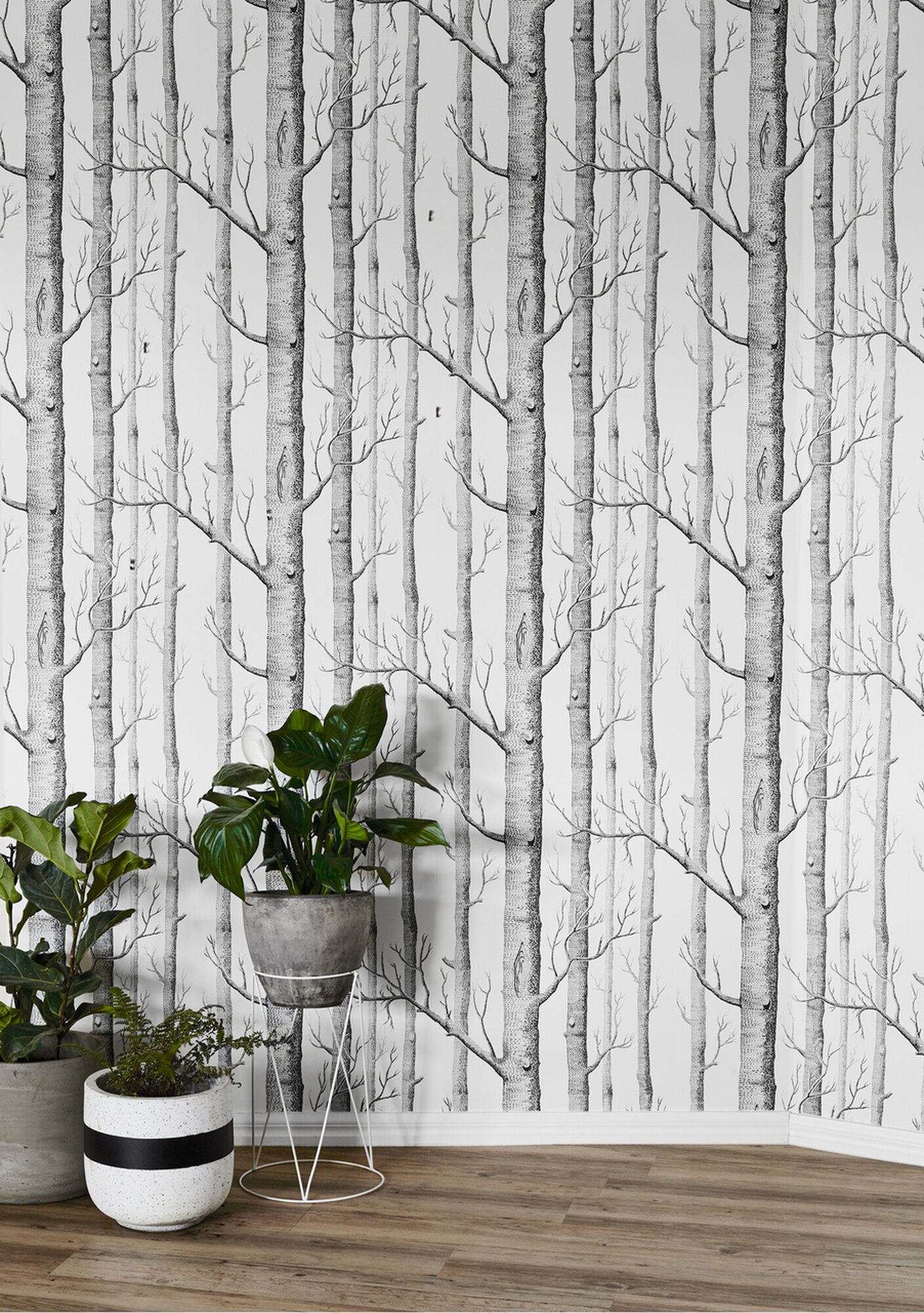 Cole And Sons Trees - 1409x2000 Wallpaper - teahub.io