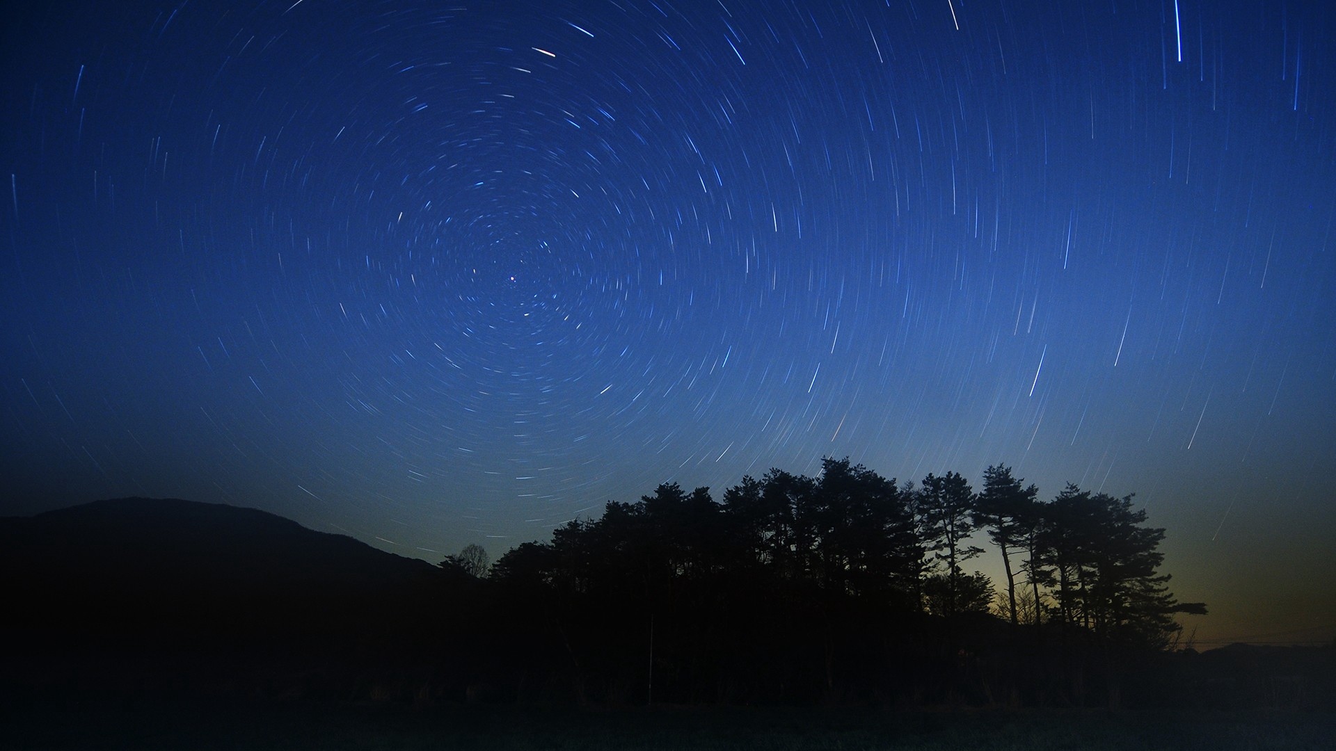 Wallpaper Night, Stars, Beautiful, Grass, Trees - Beautiful Night Sky - HD Wallpaper 