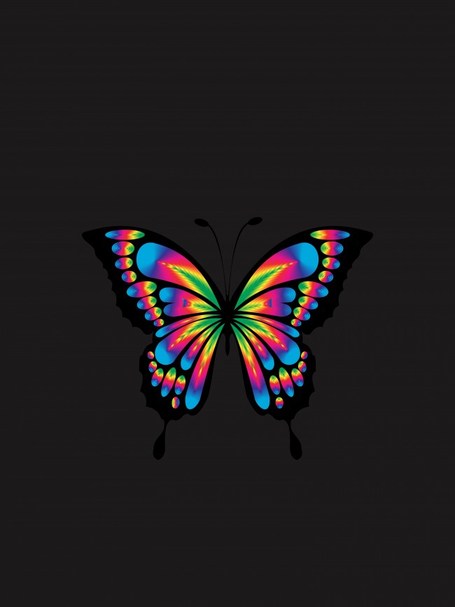 Butterfly, Design - My Favorite Subject Is Art - HD Wallpaper 
