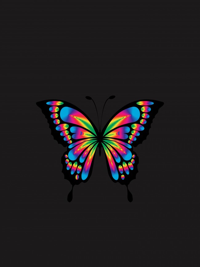 Butterfly, Design - My Favorite Subject Is Art - HD Wallpaper 