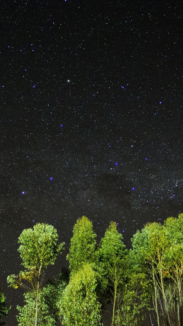Night, Stars, Sky, Trees, 4k - Black Wallpaper With Green Trees - HD Wallpaper 