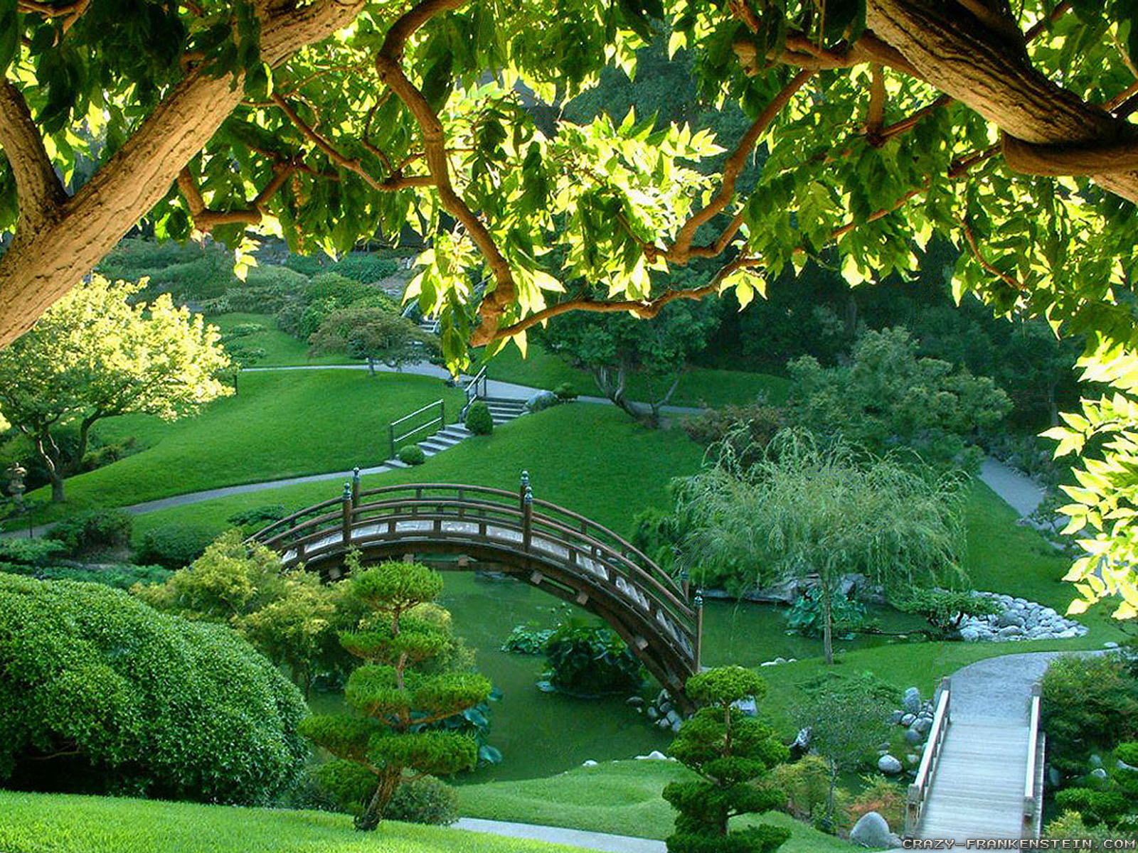 Nature Wallpaper Hd Widescreen Free Download - Nature Wallpaper In India - HD Wallpaper 