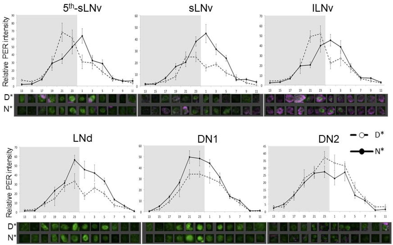 Diagram - HD Wallpaper 