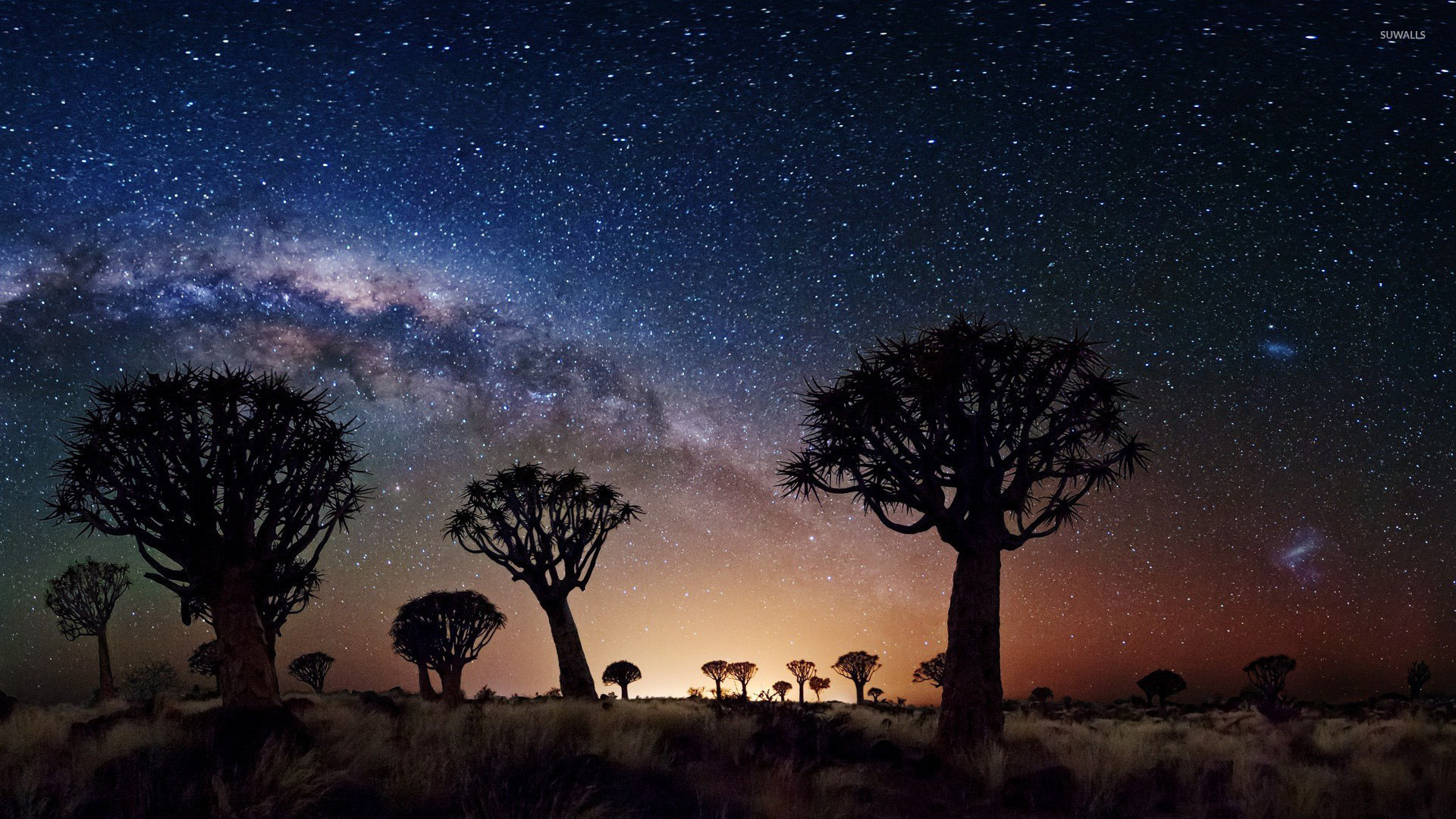 Let Me Down Slowly - HD Wallpaper 