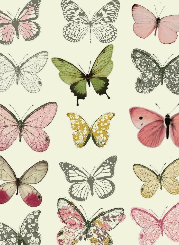 Butterfly, Background, And Wallpaper Image - Butterfly Design - HD Wallpaper 