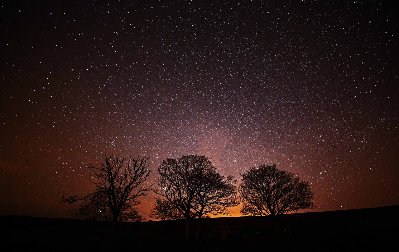 Star - HD Wallpaper 