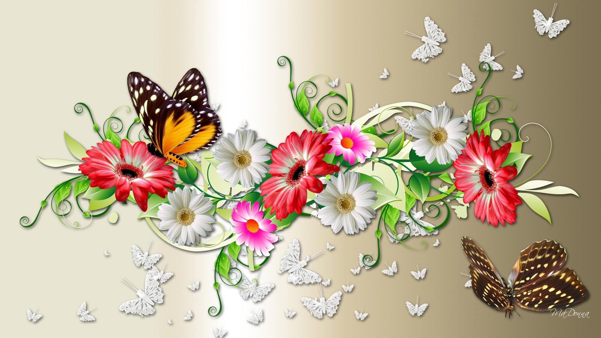 Butterflies Wallpaper 
 Data Src Butterfly Hd Wallpaper - Beautiful Pictures Of Flowers And Butterflies Hd - HD Wallpaper 