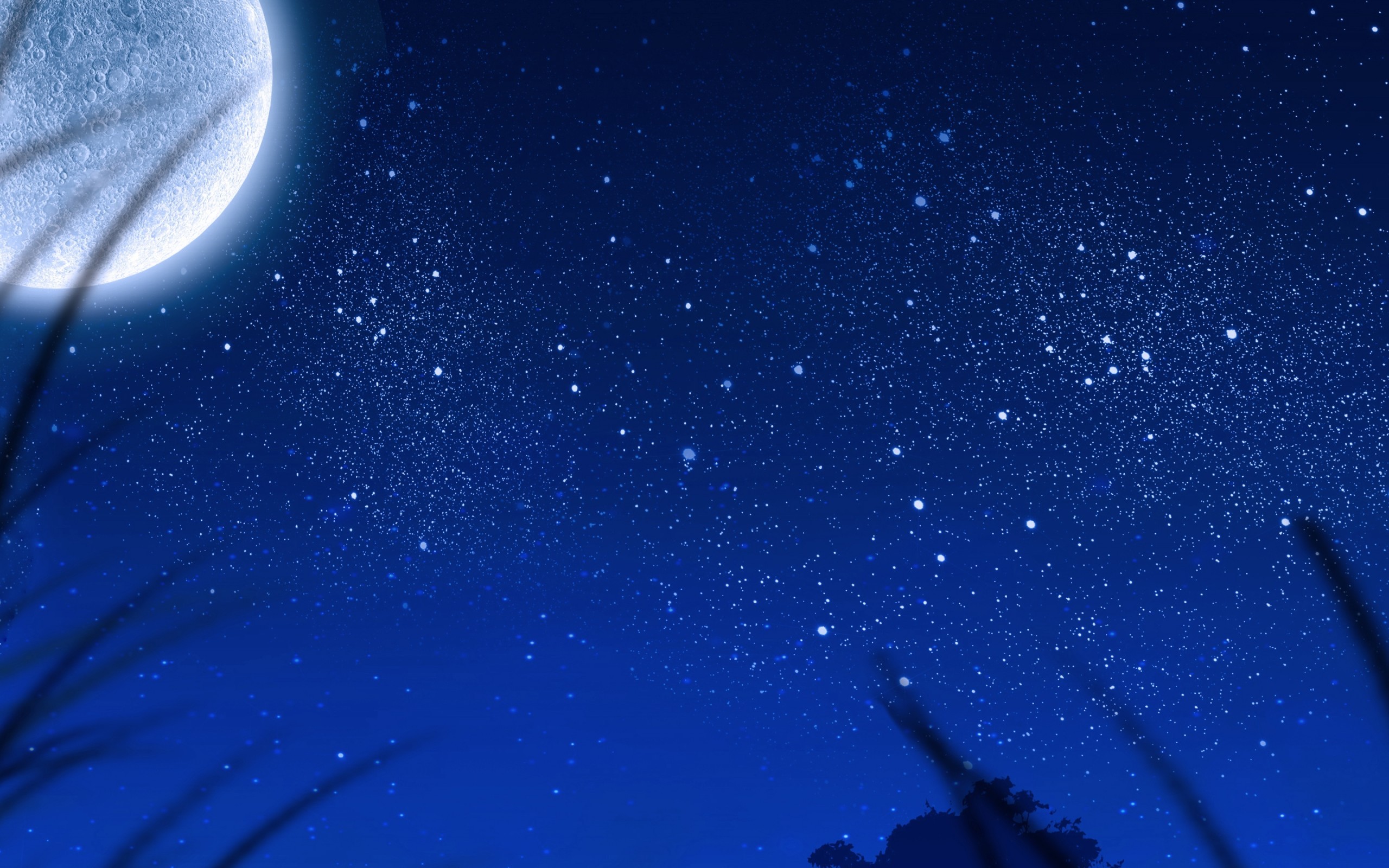 Big Moon, Stars, Plants, Night, Scenic - Star In Sky - HD Wallpaper 