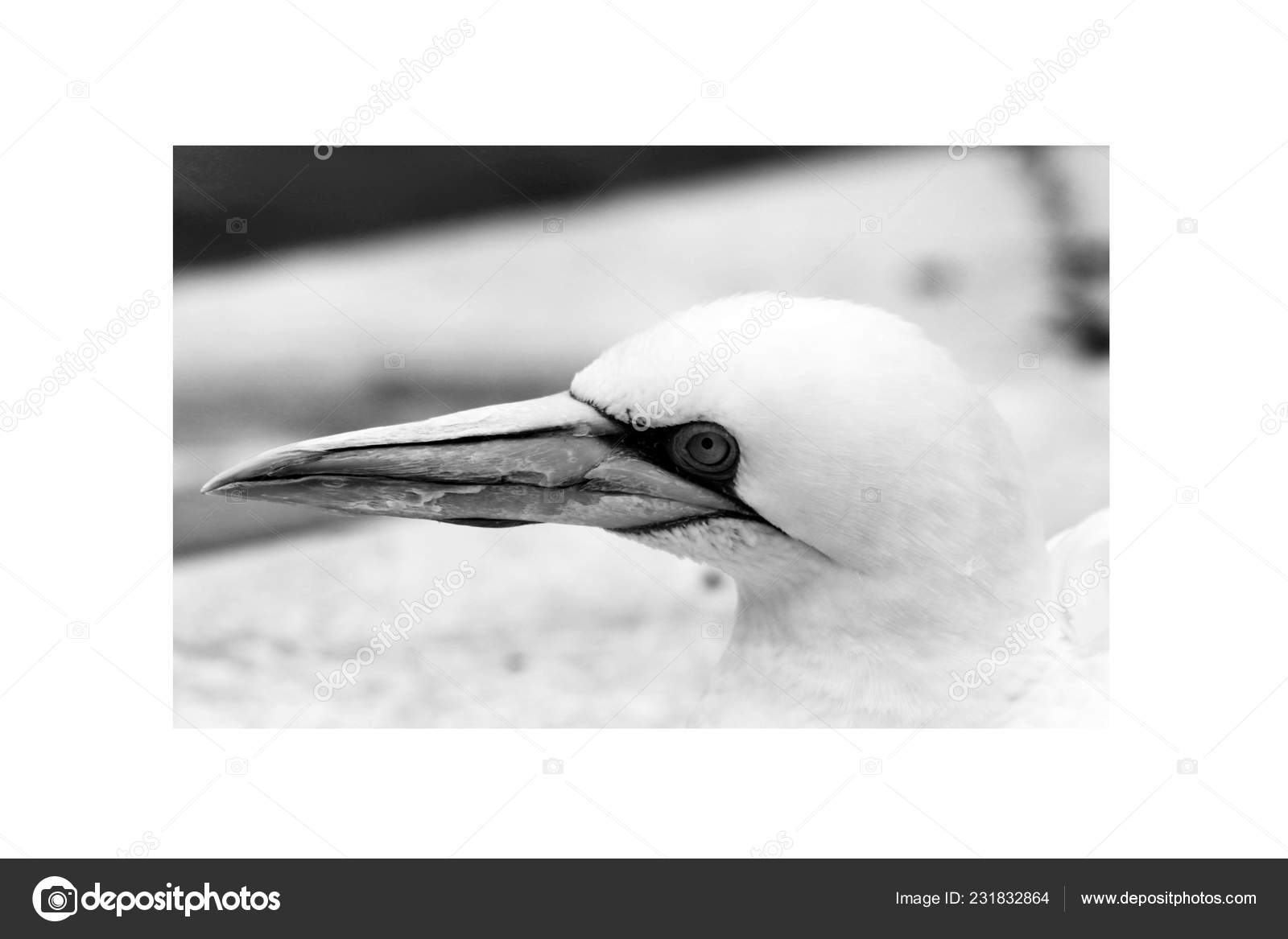 Stock Photography - HD Wallpaper 