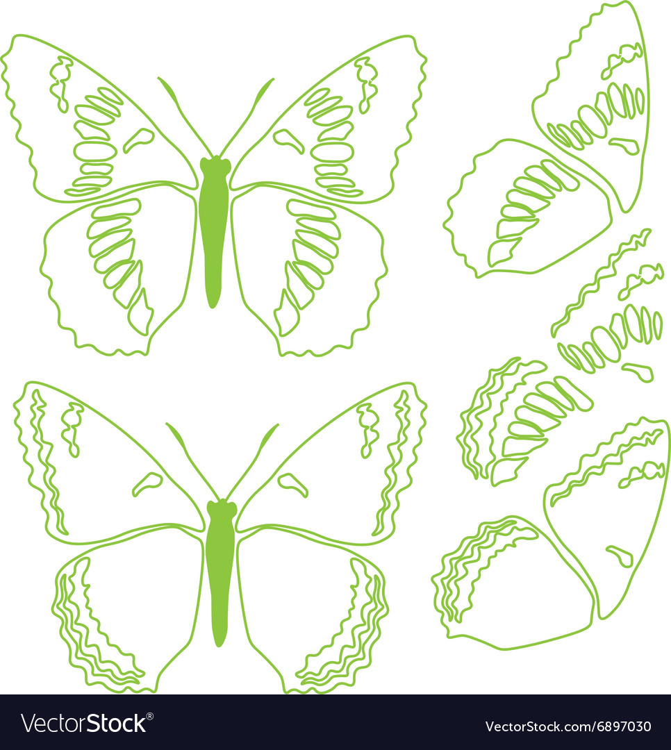 Papilio Machaon - HD Wallpaper 