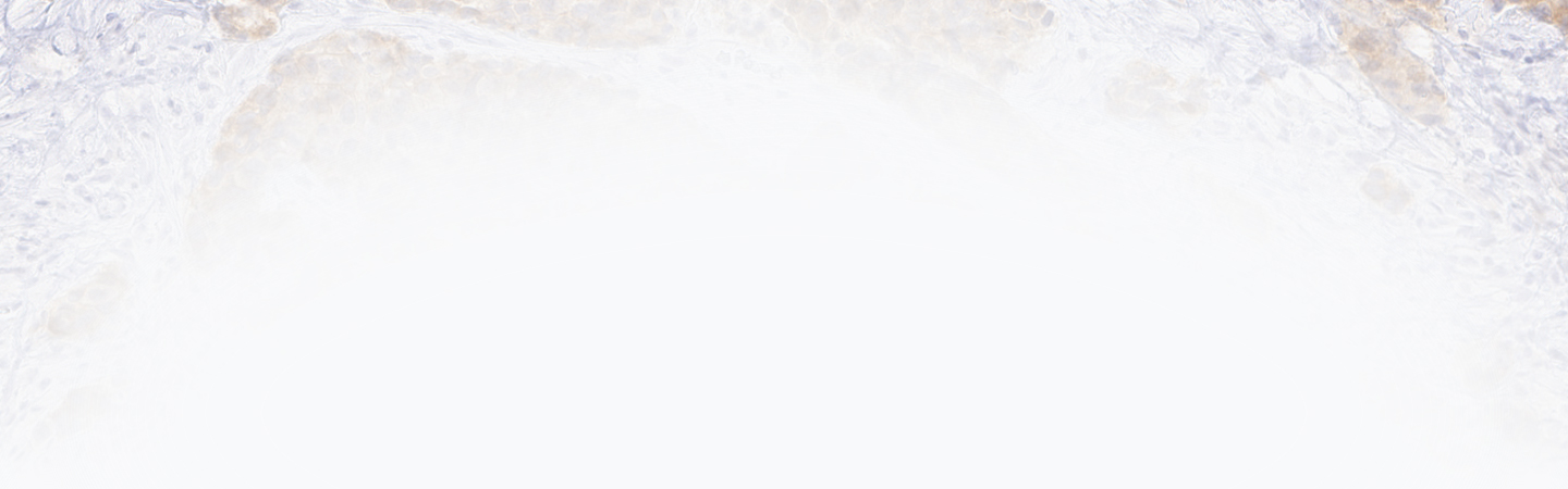 Wrapping Paper - HD Wallpaper 