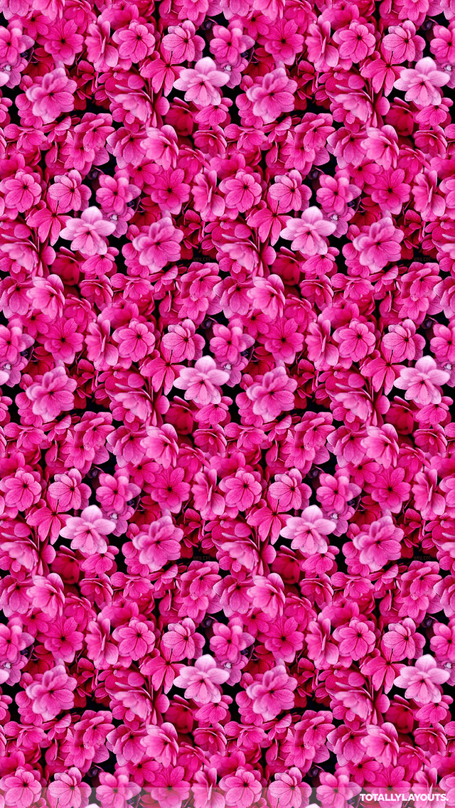 Pink Wallpaper Iphone Flowers - HD Wallpaper 