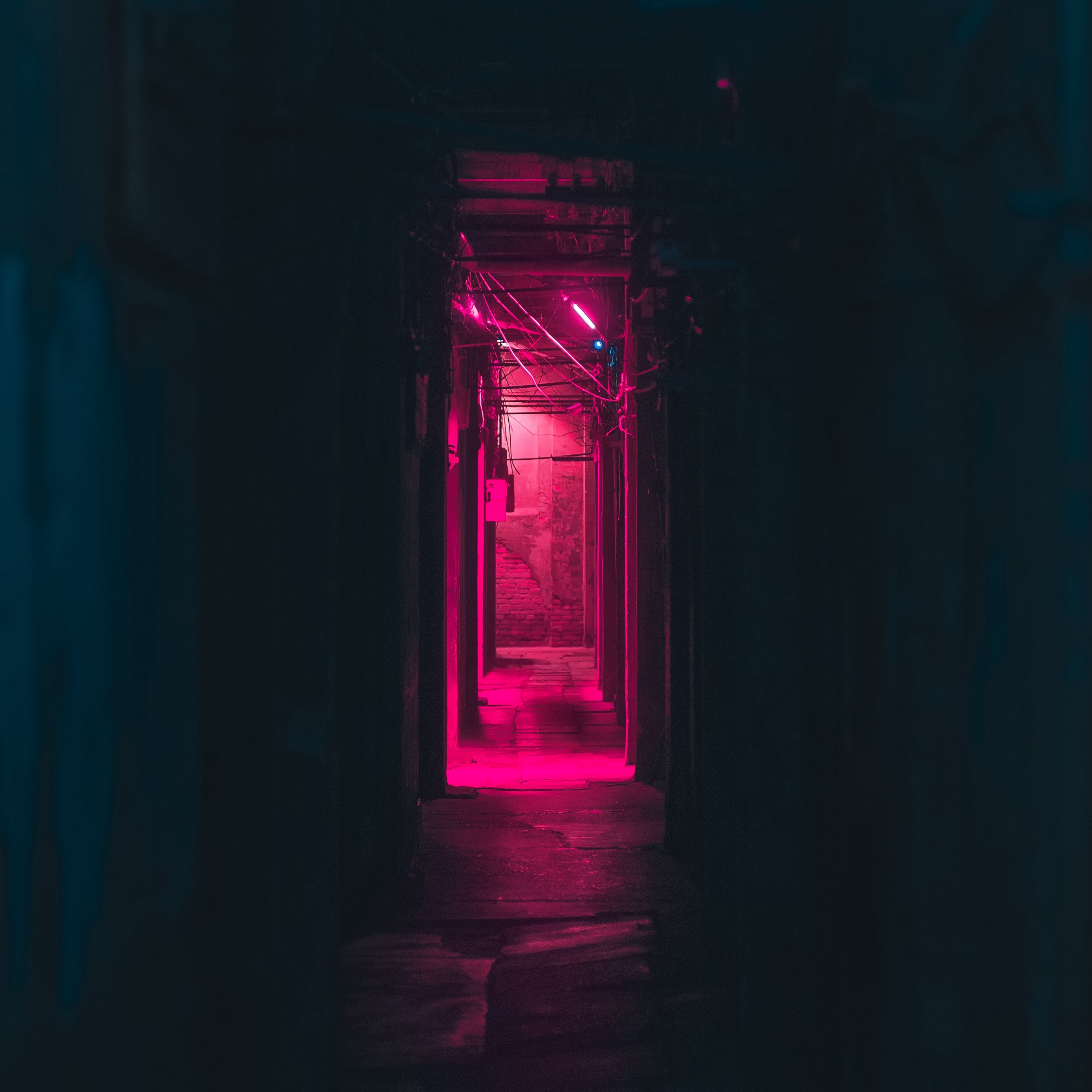 Wallpaper Corridor, Neon, Dark, Pink, Light - Wallpaper - HD Wallpaper 