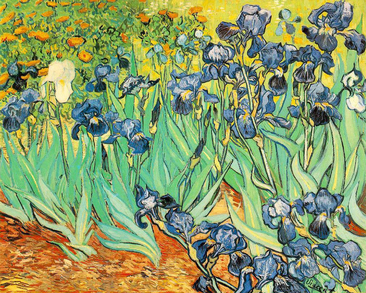 Irises, 1889, Vincent Van Gogh - HD Wallpaper 