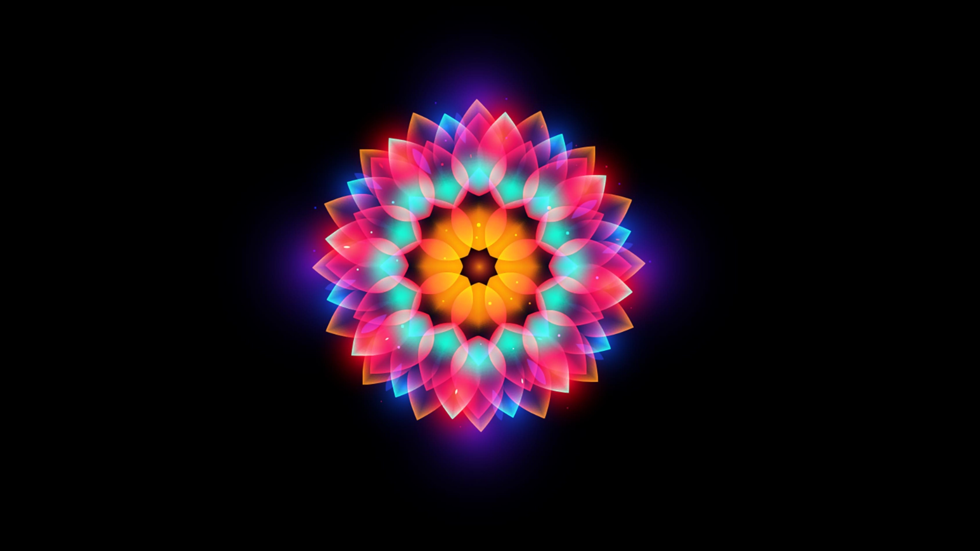 Glowing Flower Wallpaper - Wallpaper - HD Wallpaper 