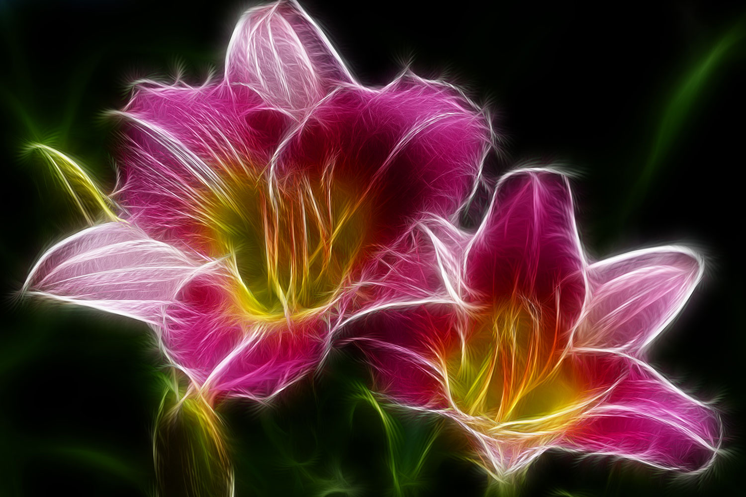 Neon Flowers - HD Wallpaper 