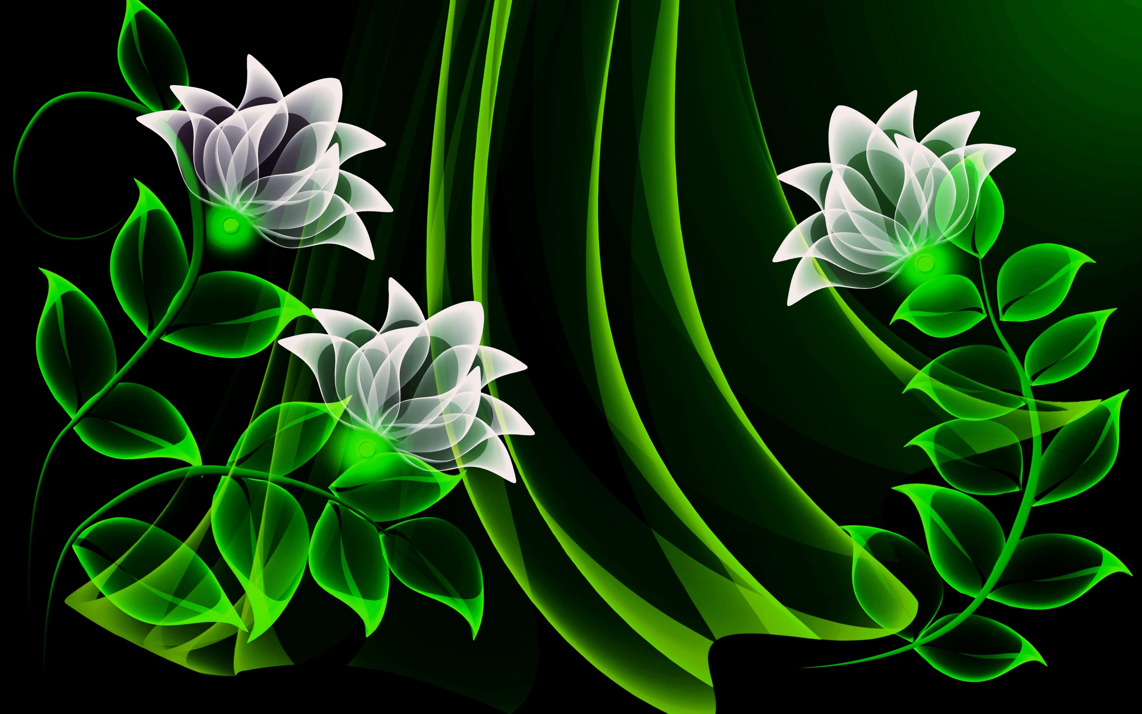 Abstract Green Color Background - HD Wallpaper 