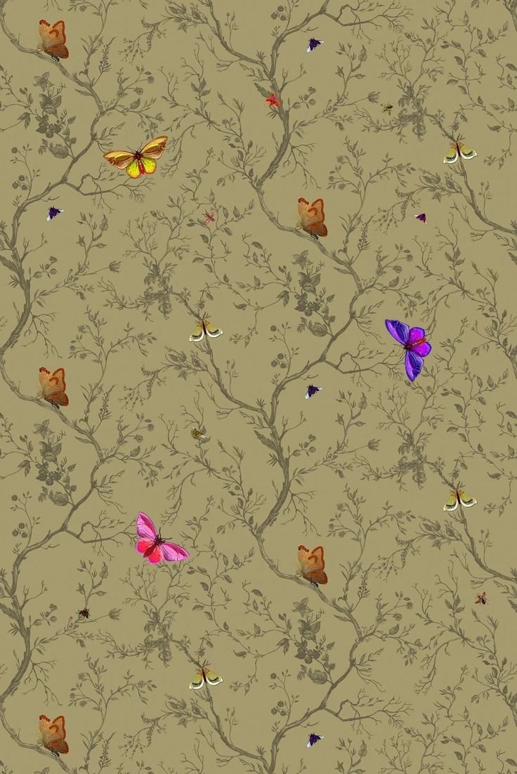 Wallpaper - HD Wallpaper 