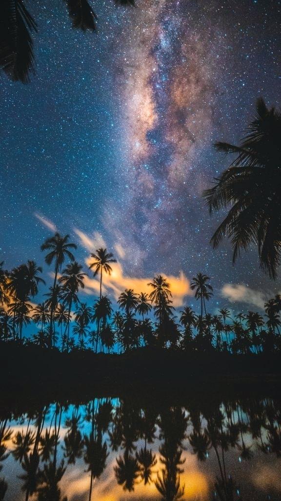 Starry Night Wallpaper Crazyart Co - Palm Trees Night Sky - HD Wallpaper 