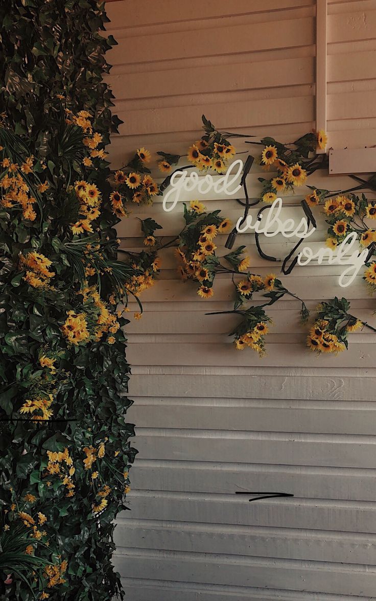 Good Vibes Only Sunflower - HD Wallpaper 