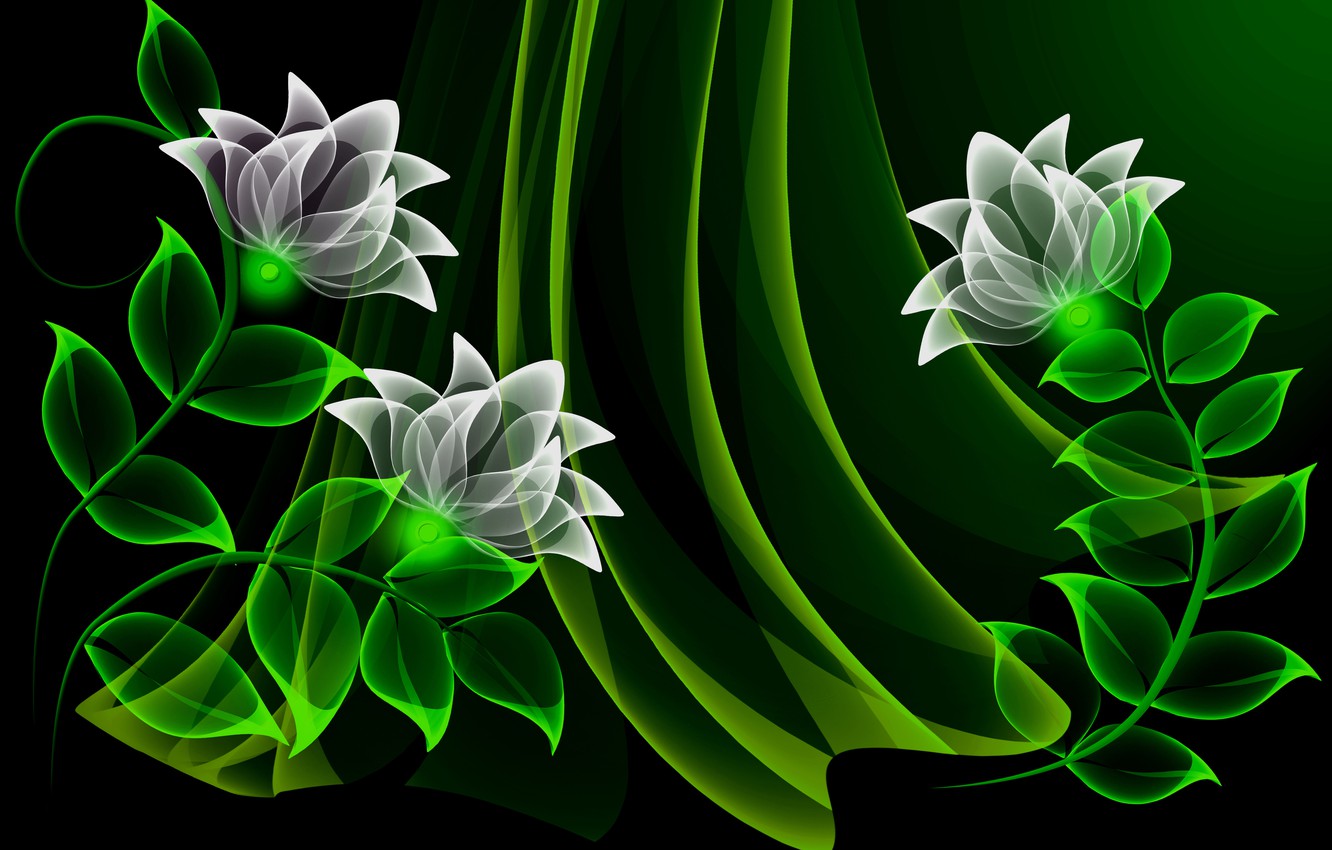 Photo Wallpaper Flowers, Vector, Flowers, Background, - Neon Flowers Wallpaper Hd - HD Wallpaper 