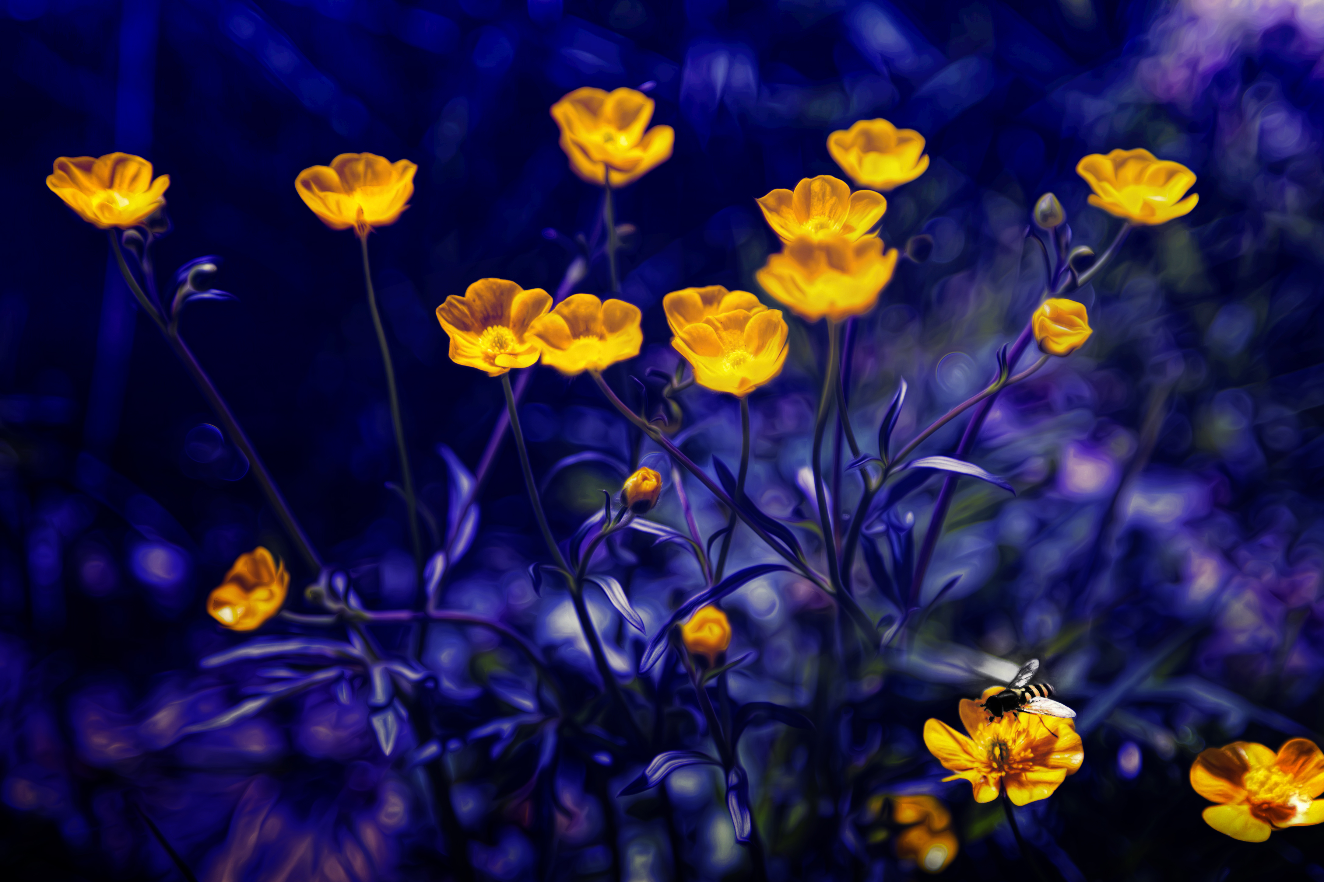 Hd Wallpaper Buttercup - HD Wallpaper 