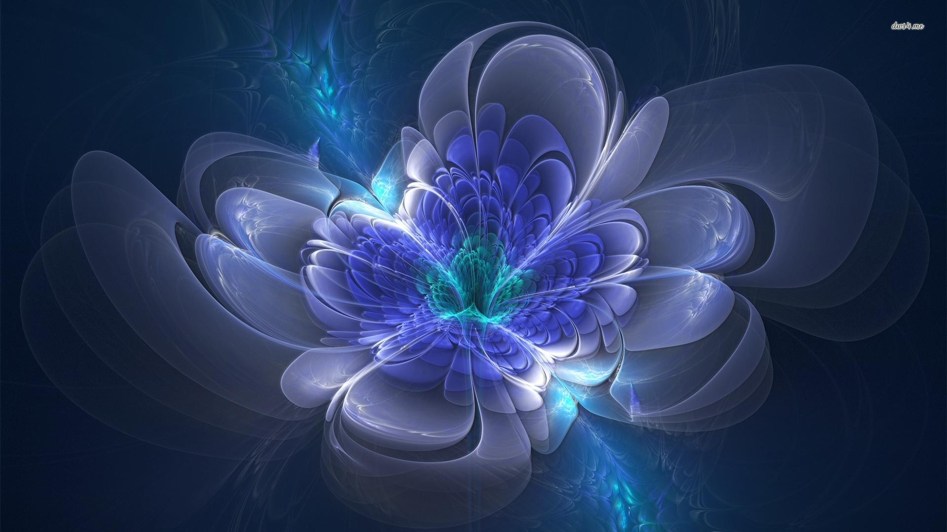 Wallpaper - HD Wallpaper 