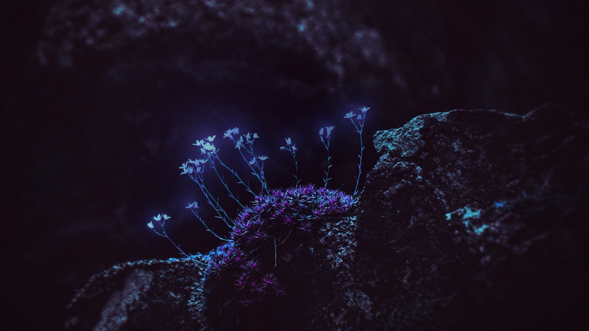 Love True Love Thought In Hindi - HD Wallpaper 